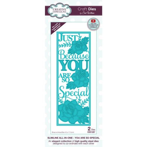 Creative Expressions Craft Dies By Sue Wilson Slimline- You Are So Special