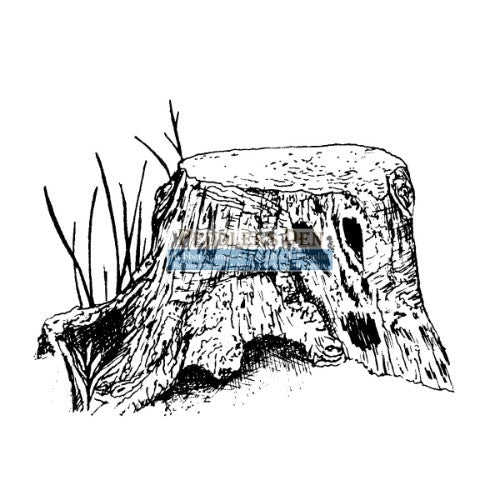 Peddlers Den Wood Spirit Stump Facing Right T5-114C - No Mounting