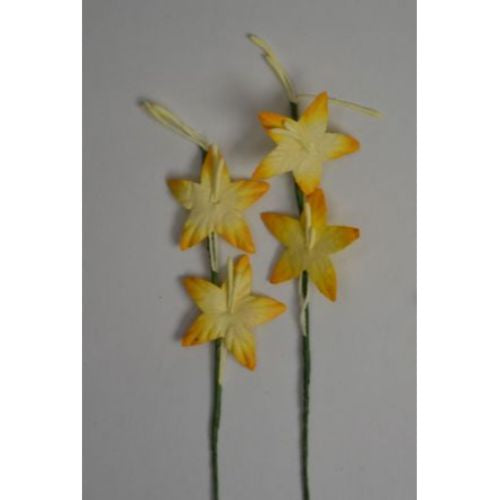 25 2 tone YELLOW STAR LILY GLADIOLI Mulberry Paper