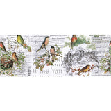 Tim Holtz Idea-Ology Collage Paper 6"X6yds Aviary