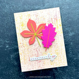 Concord & 9th KW Calm Canopy Stamp & Die Bundle