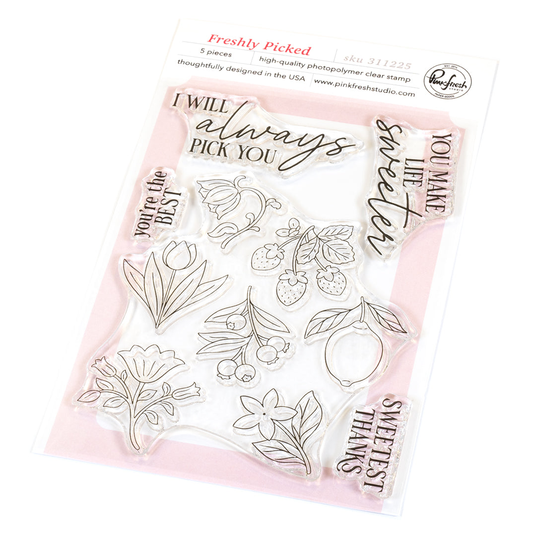 Pinkfresh Studio Freshly Picked Stamp/die/stencil Bundle
