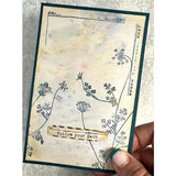 Arden Creative Studio Maker Series Wispy Stems 4in x 8in Clear Stamp Set