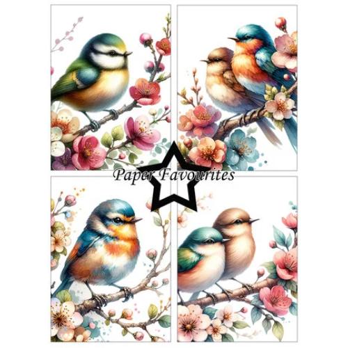 Paper Favourites Birds and Flowers A6 Paper Pad (PFA569)