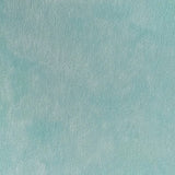 Lindy's Stamp Gang Magical Shaker 2.0 Individual Jar 10g Mystic Crystal Teal