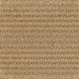 49 And Market Starters Collection Pack 12"X12" Curiosities In Willow Grove