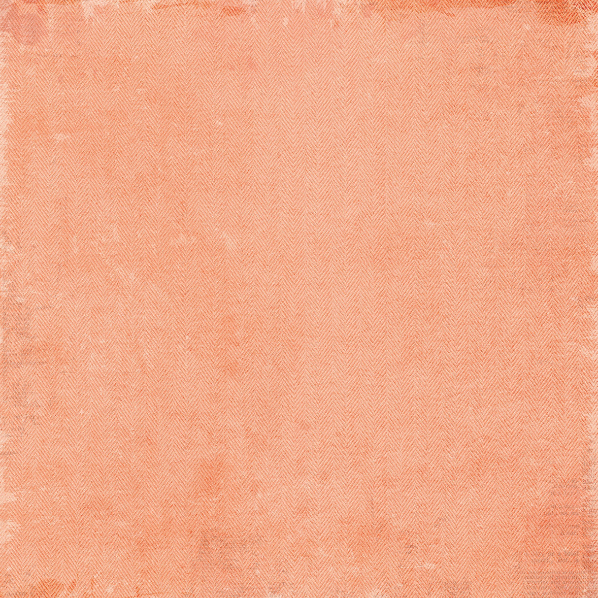 49 And Market Staples Pack 12"X12" Curiosities In Willow Grove