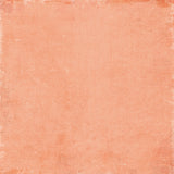 49 And Market Staples Pack 12"X12" Curiosities In Willow Grove