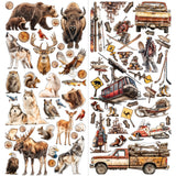 49 And Market Laser Cut Outs Elements, Timber And Tweed