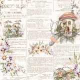 49 And Market Collection Pack 12"X12" - The Looking Glass