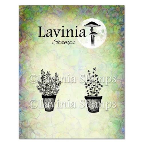 Lavinia Stamp Rosemary & Thyme Pots Stamp LAV948