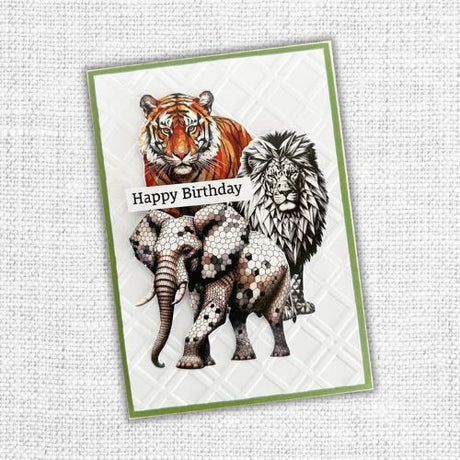 Paper Rose Studio Ben's Plaid 3D Embossing Folder 32157