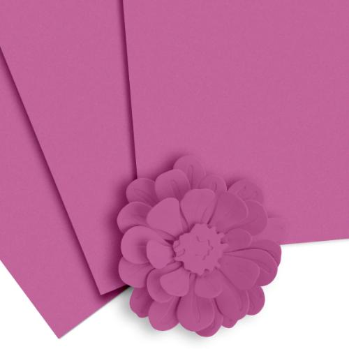 Altenew Purple Wine Cardstock (10 sheets/set)