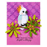 Spellbinders Flying High Etched Dies from the Cheerful Chirps Collection