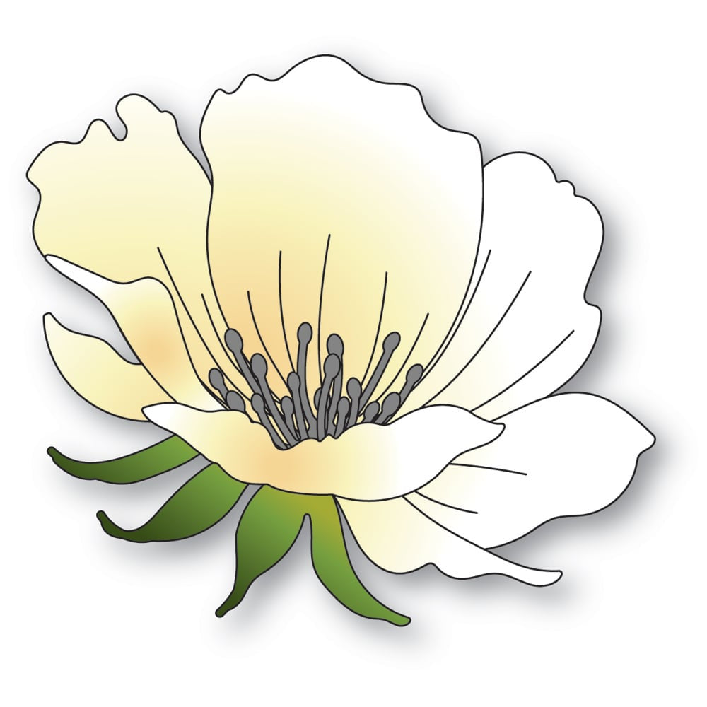 Memory Box 94766 Anemone Bloom craft die