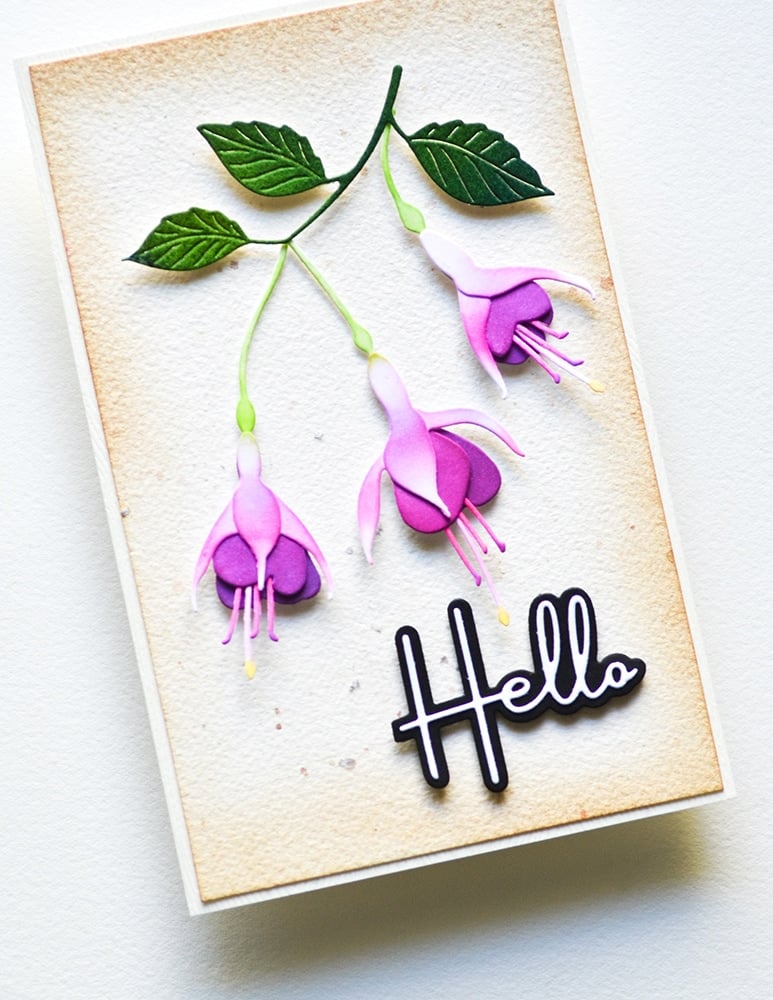 Memory Box 94781 Hello Breezy Script craft die 