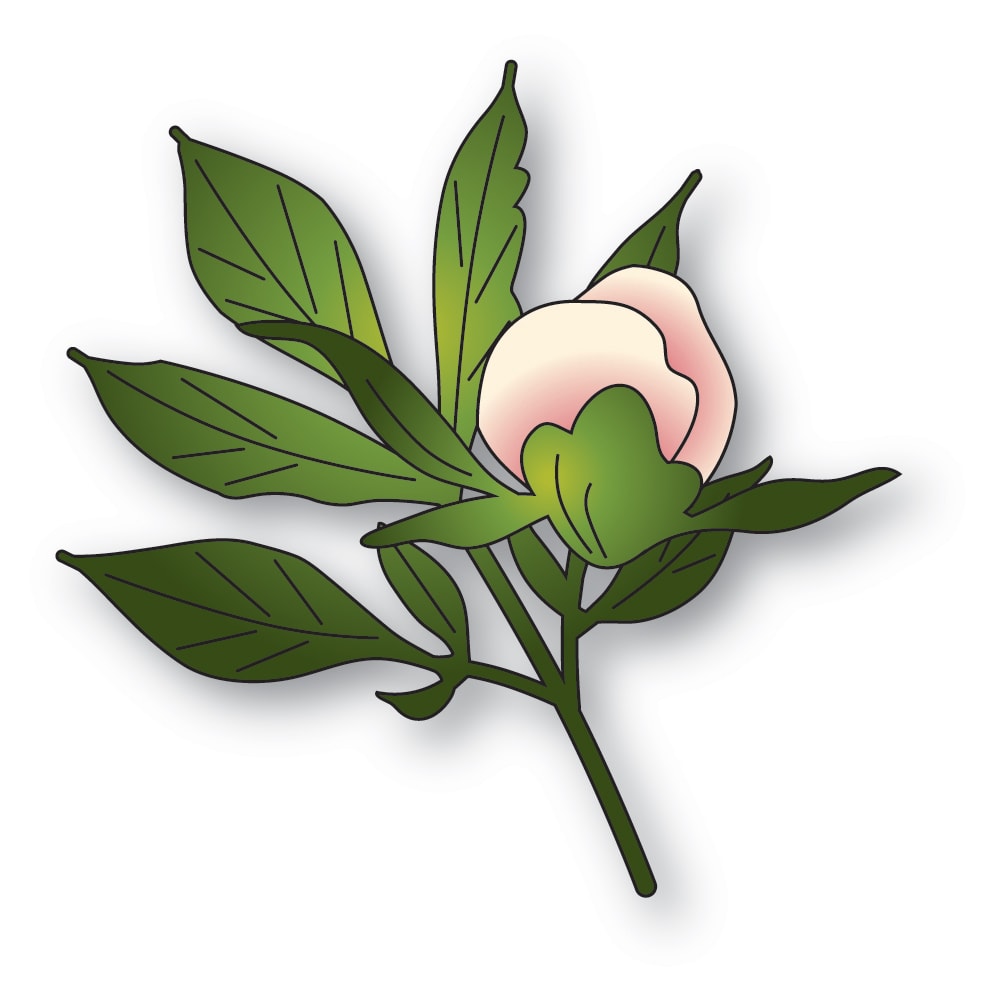 Memory Box 94881 Tender Peony Bud craft die