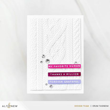 Altenew Cozy Sweater 3D Embossing Folder