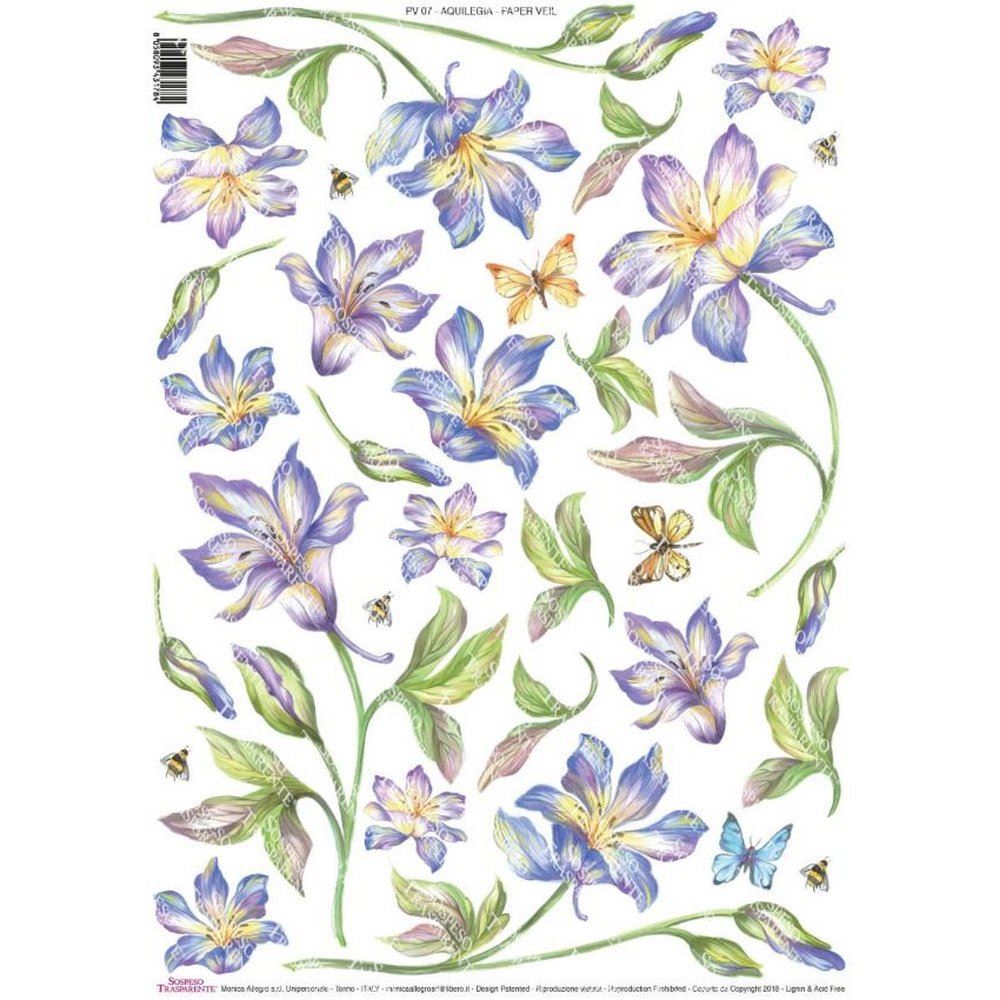 Sospeso Trasparente Paper Veil Aquilegia pack of 4 sheets