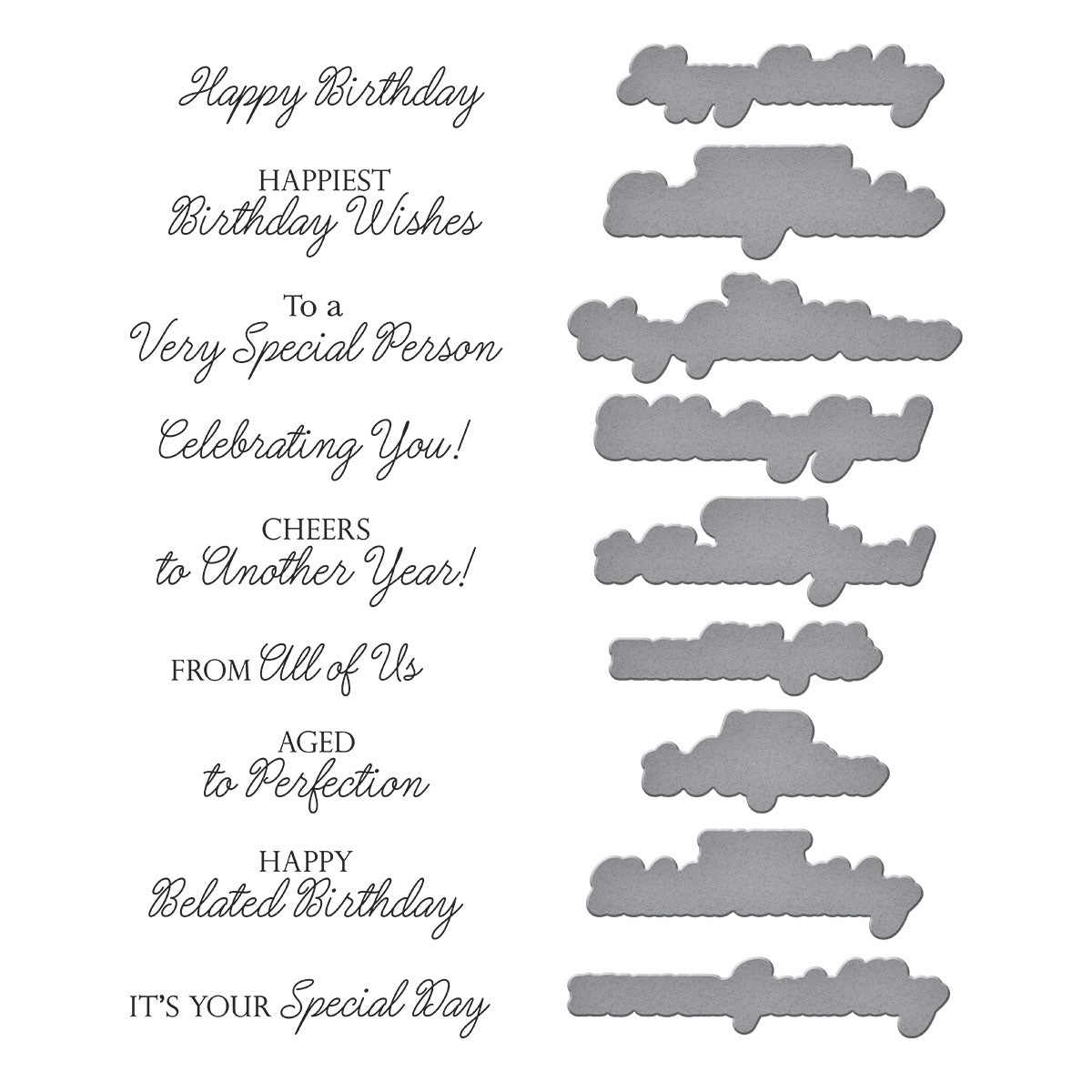 Spellbinders Birthday Wishes Sentiments BetterPress Plate & Die Set from the Texture & Foliage Collection by Suzanne Hue