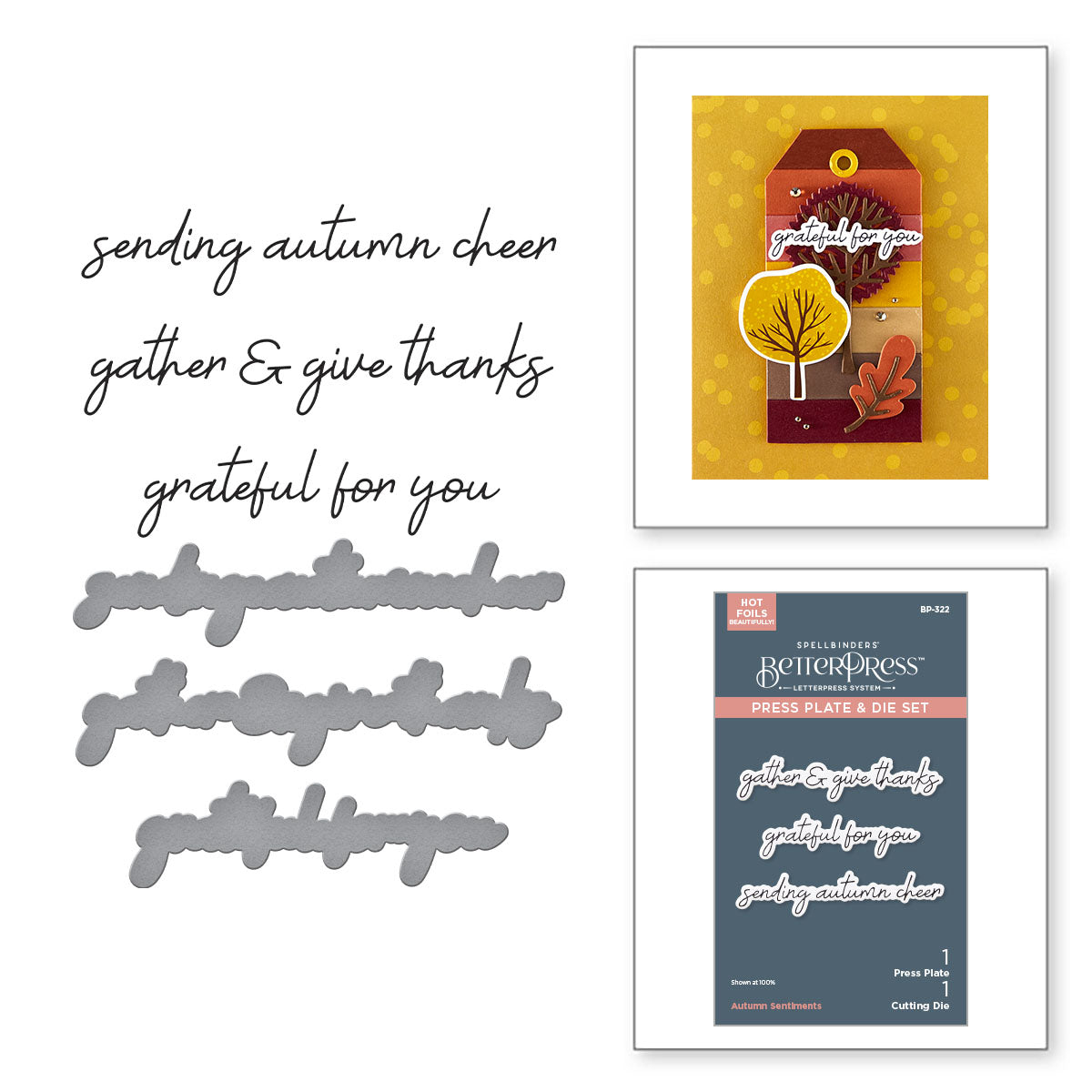 Spellbinders Autumn Sentiments BetterPress Plate & Die Set from the Autumn Archives Collection by Kelly Bangs