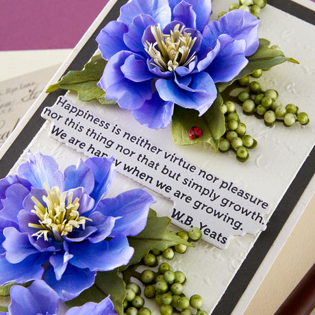 Spellbinders The Poet's Garden Sentiments Press + Foil Plate & Die Set by Susan Tierney-Cockburn
