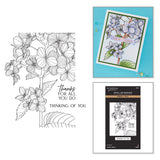 Spellbinders Thanks in Bloom Press + Foil Plates