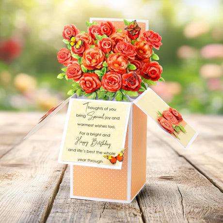 Katy Sue Designs White Pop Up Box Cards & Envelopes 140×200mm (Pack of 12)