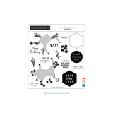Concord & 9th Bouquet Turnabout™ Stamp Set (6 x 6) & die Bundle