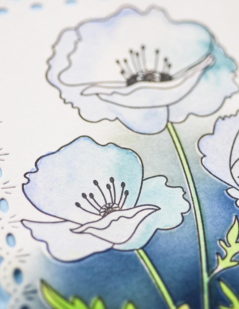 Memory box CL5281D – Playful Poppies Clear Stamp & Die Set