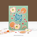 Concord & 9th Citrus & Spice Stamp Set (6 x 6) & Die Bundle