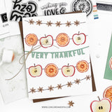 Concord & 9th Citrus & Spice Stamp Set (6 x 6) & Die Bundle