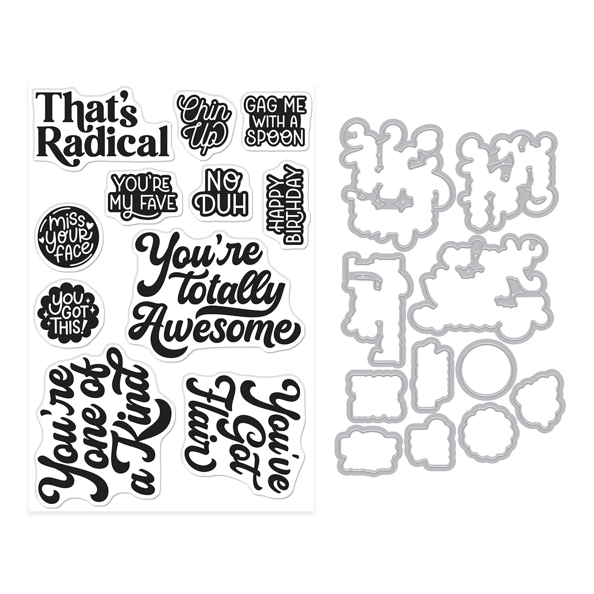 Hero Arts Hero Arts Totally Awesome Stamp & Cut