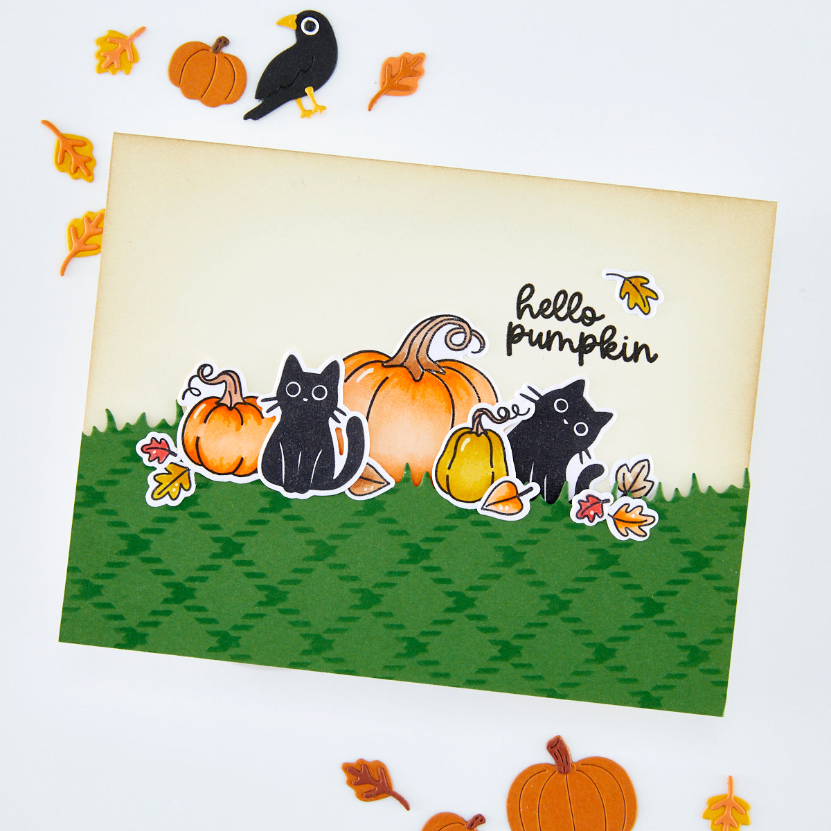 Hero Arts Hide and Peek Stamp & Cut