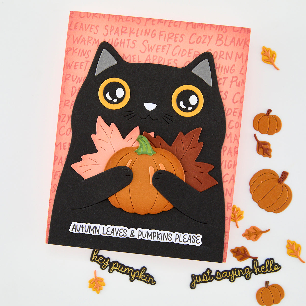 Hero Arts Kitty Squeezer Die Set
