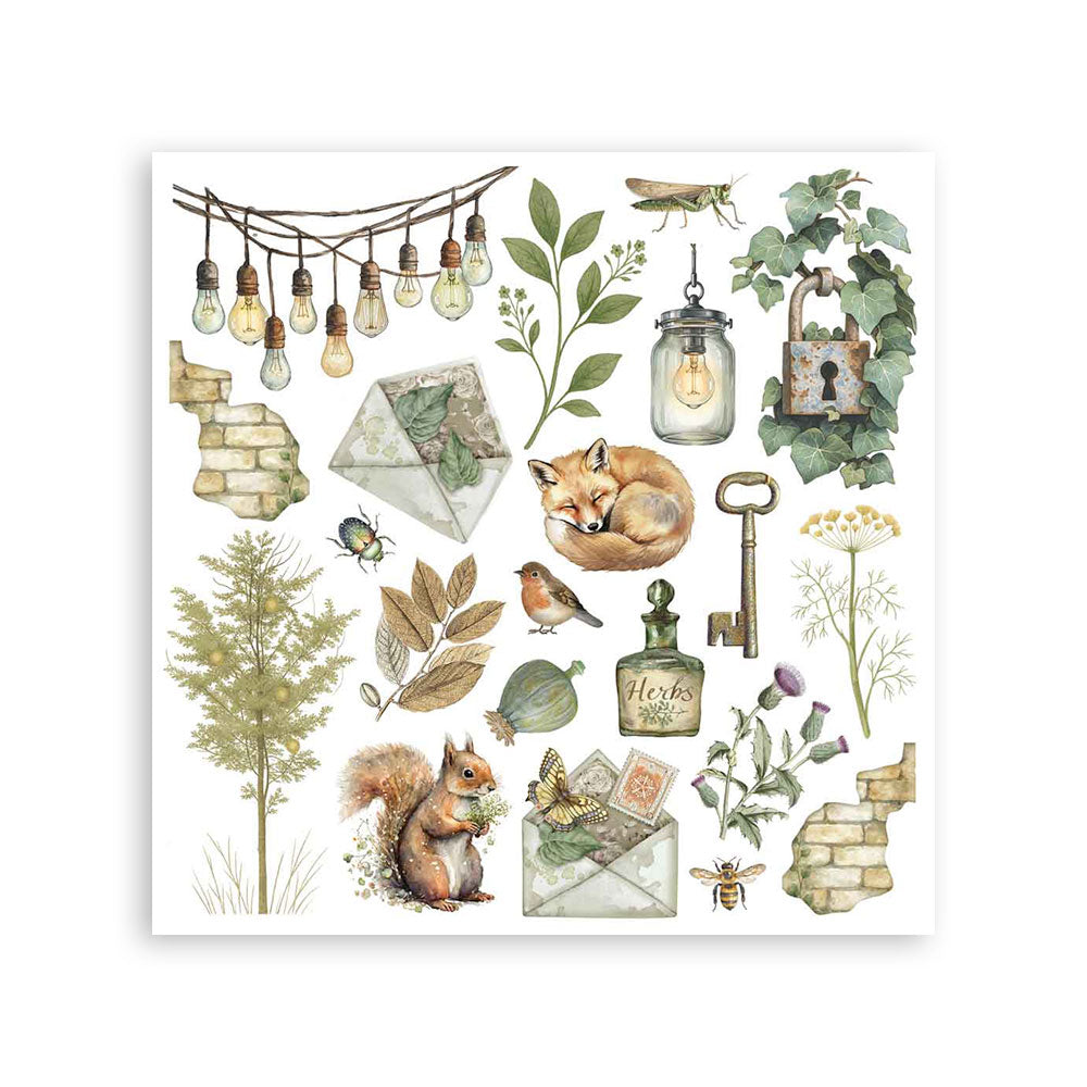 Stamperia Herbarium Silvae Rub-On Assortment 6pcs (DFLRBX02)