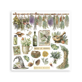 Stamperia Herbarium Silvae Rub-On Assortment 6pcs (DFLRBX02)