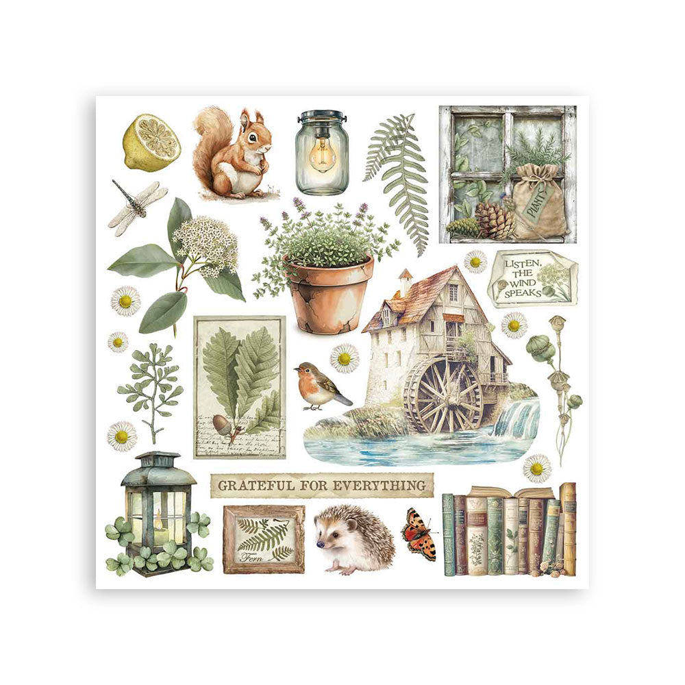 Stamperia Herbarium Silvae Rub-On Assortment 6pcs (DFLRBX02)