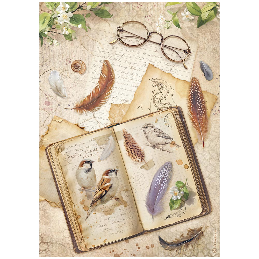 Stamperia All Around A4 Rice Paper Selection (6pcs) (DFSA4XAR)