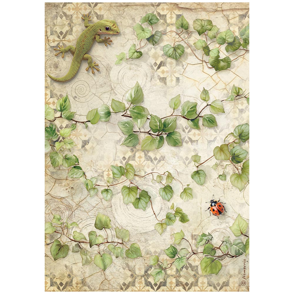 Stamperia All Around A4 Rice Paper Selection (6pcs) (DFSA4XAR)
