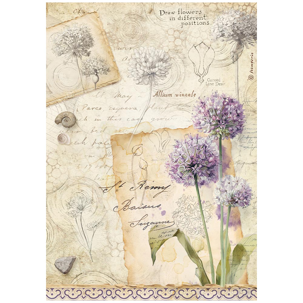 Stamperia All Around A4 Rice Paper Selection (6pcs) (DFSA4XAR)