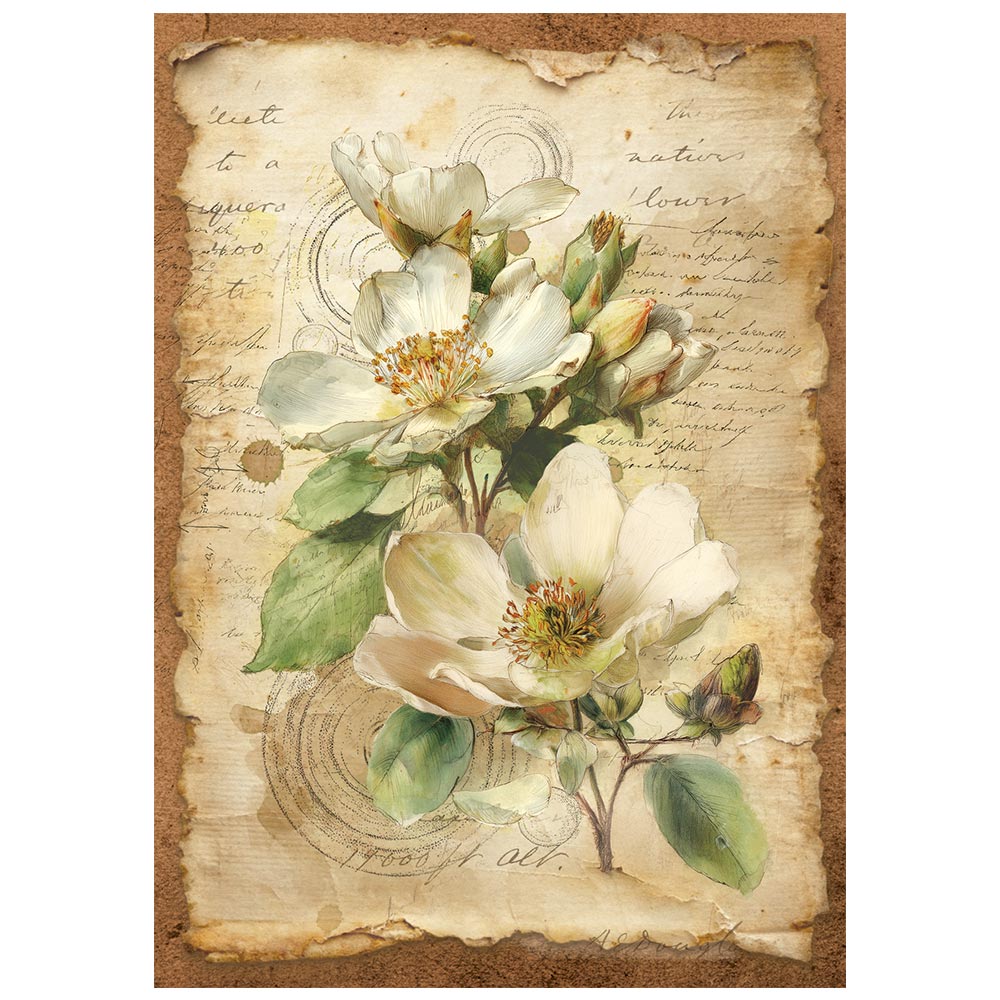 Stamperia All Around A6 Mini Rice Paper Selection (8pcs) (DFSA6X06)