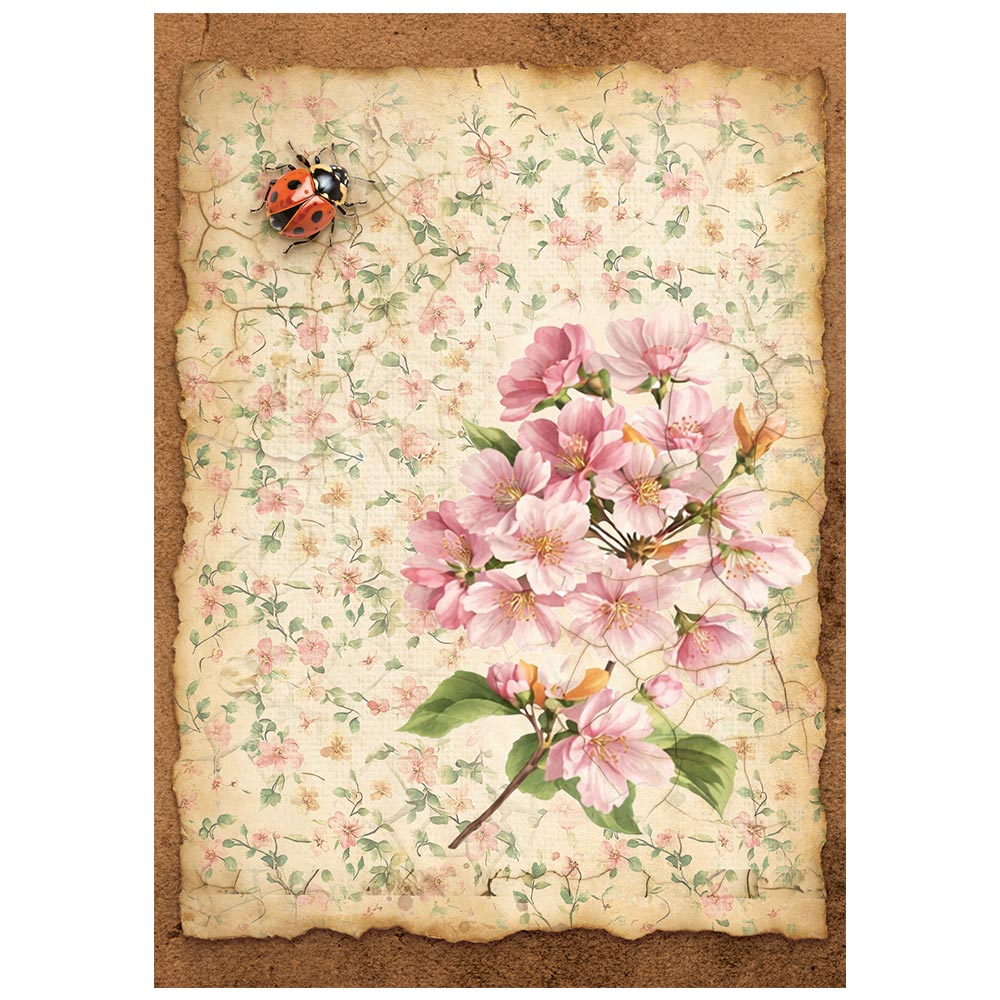 Stamperia All Around A6 Mini Rice Paper Selection (8pcs) (DFSA6X06)