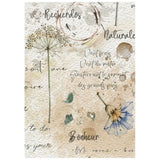 Stamperia Flowers and Poems A6 Mini Rice Paper Selection (8pcs) - DFSA6X13