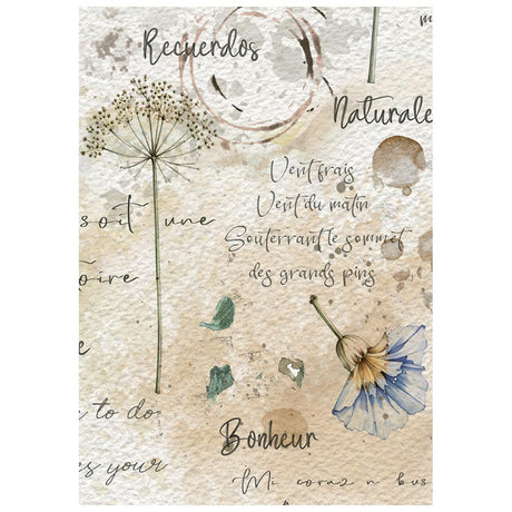 Stamperia Flowers and Poems A6 Mini Rice Paper Selection (8pcs) - DFSA6X13