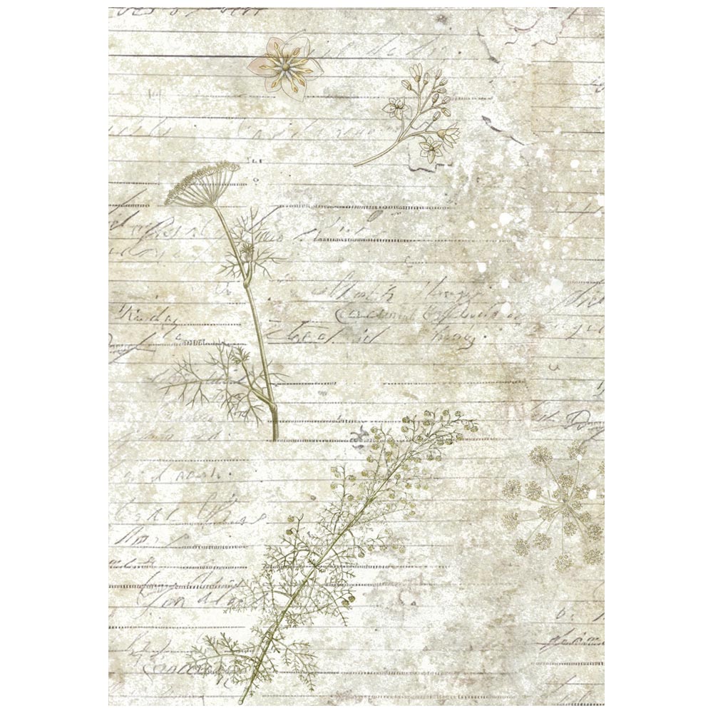 Stamperia Herbarium Silvae A6 Rice Paper Backgrounds (DFSAK6048)