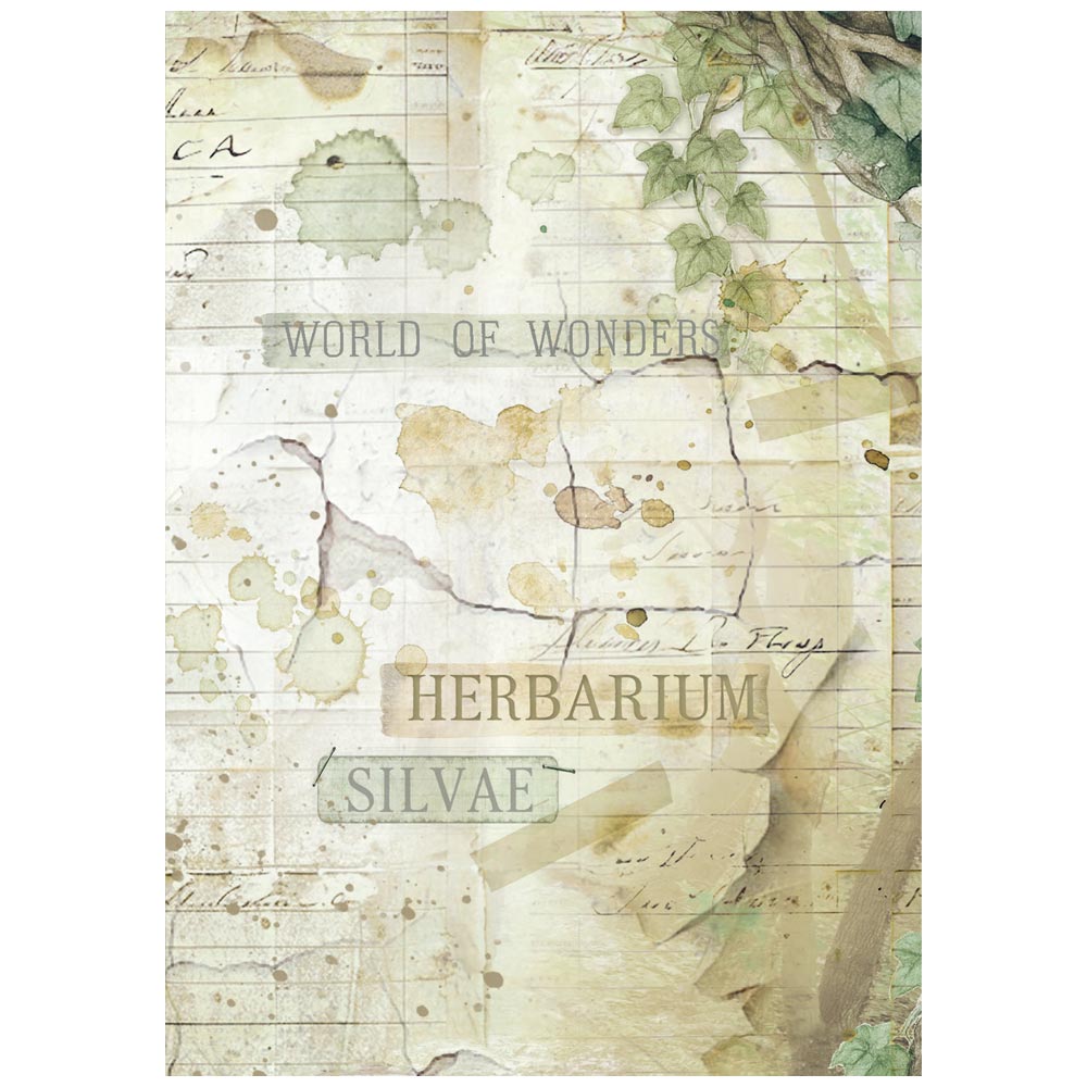 Stamperia Herbarium Silvae A6 Rice Paper Backgrounds (DFSAK6048)