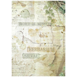Stamperia Herbarium Silvae A6 Rice Paper Backgrounds (DFSAK6048)