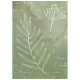 Stamperia Flowers and Poems A6 Rice Paper Backgrounds Selection (8pcs) - DFSAK6062