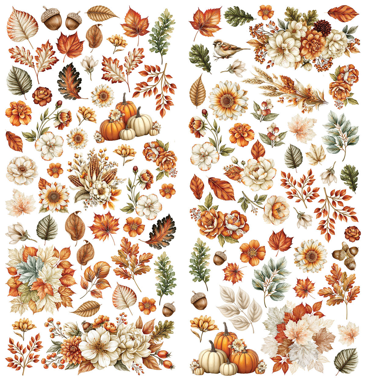 49 & Market Season's Bounty Laser Cut Wildflowers - DSB-38682